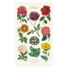 Cavallini Geschirrtuch Botanica • Discount