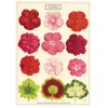 Cavallini Poster Fleurs • Fashion