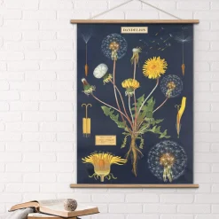 Cavallini Poster Fleurs • Fashion