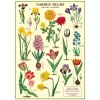 Cavallini Poster Garden Bulbs Clearance