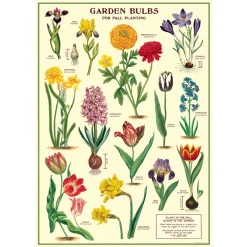 Cavallini Poster Garden Bulbs Clearance