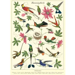 Cavallini Poster Hummingbirds Sale