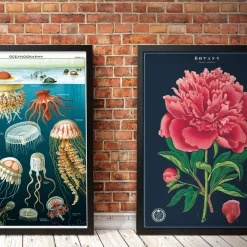 Cavallini Poster Hummingbirds Sale