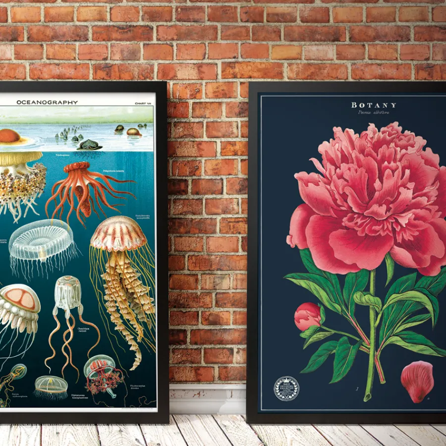 Cavallini Poster Hummingbirds Sale