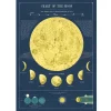 Cavallini Poster Moon Chart New