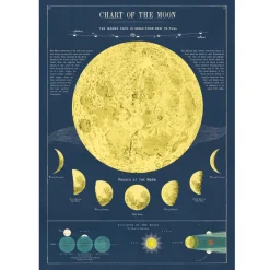 Cavallini Poster Moon Chart New