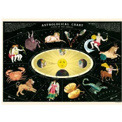 Cavallini Poster Zodiac 2 Fashion
