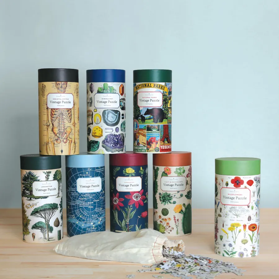 Cavallini Puzzle Constellations 1000-teilig Best