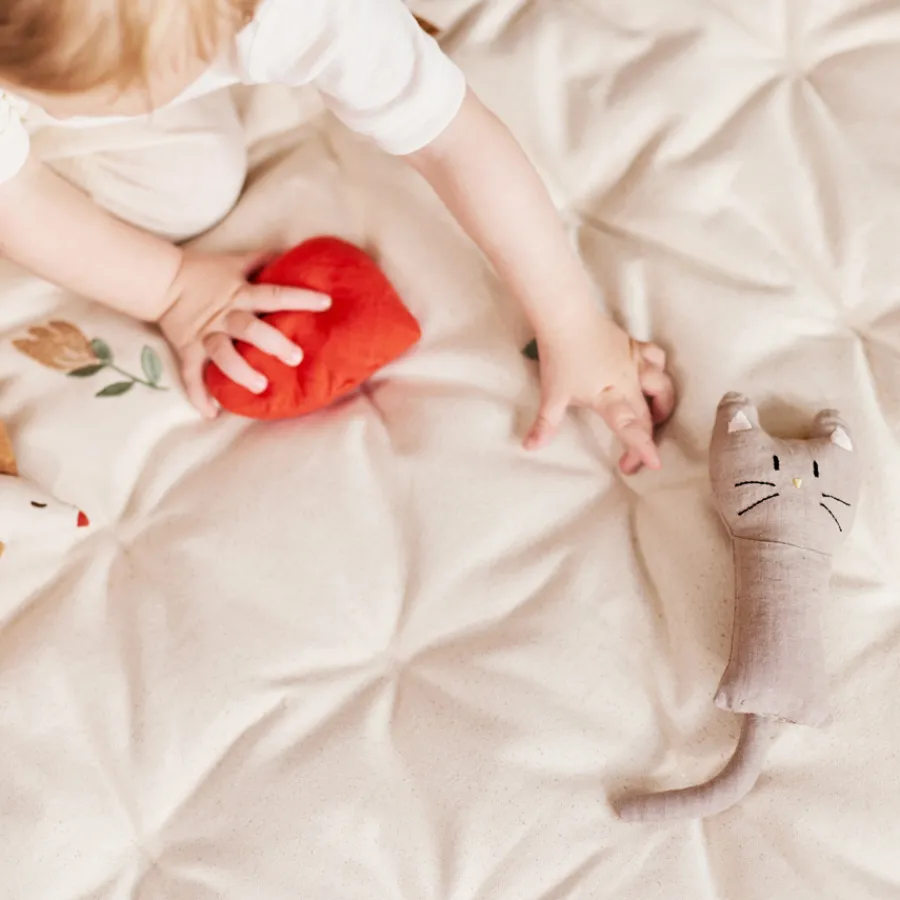 Dear April Henry Kleine Rassel Cat Hot