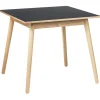 FDB Møbler C35A Quadratischer Tisch Natur/Dunkelgrau Linoleum Zinn Best