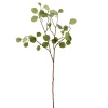 House Doctor Deko-Pflanze Eucalyptus Natur Hot