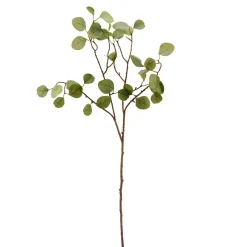 House Doctor Deko-Pflanze Eucalyptus Natur Hot