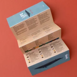 Londji Puzzle Life 200-teilig Online