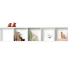 Oliver Furniture Wood Wand-Regal 5 x 1 Horizontal Fashion