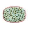 Rice Melamin Kleiner Teller Oval Seashell New